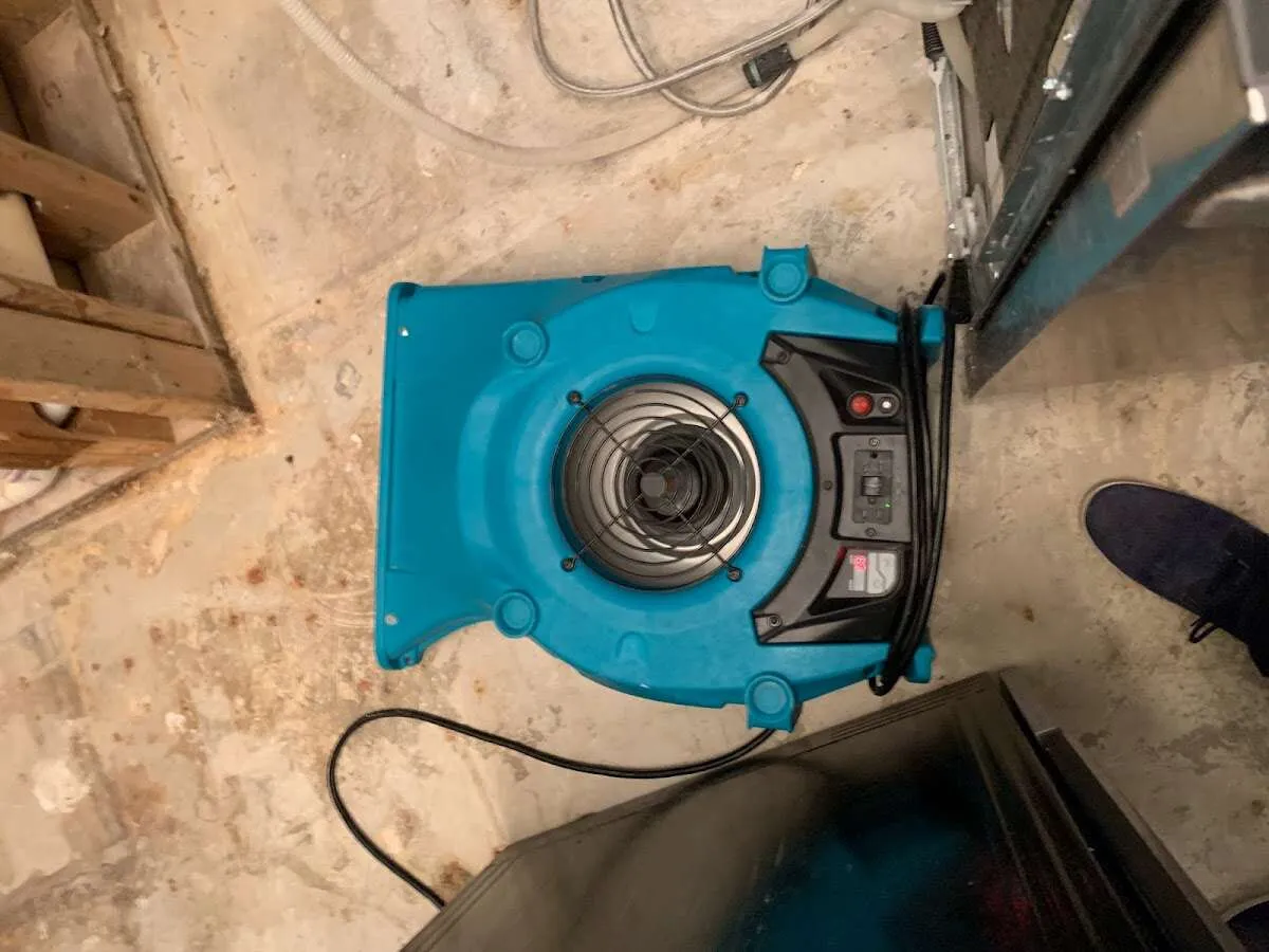 Air mover drying equipment for Mold Remediation & Removal in Pelican Bay